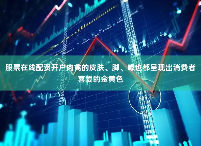 股票在线配资开户肉禽的皮肤、脚、喙也都呈现出消费者喜爱的金黄色