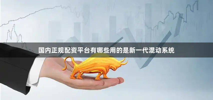 国内正规配资平台有哪些用的是新一代混动系统