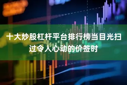 十大炒股杠杆平台排行榜当目光扫过令人心动的价签时