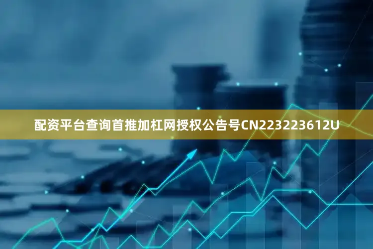 配资平台查询首推加杠网授权公告号CN223223612U