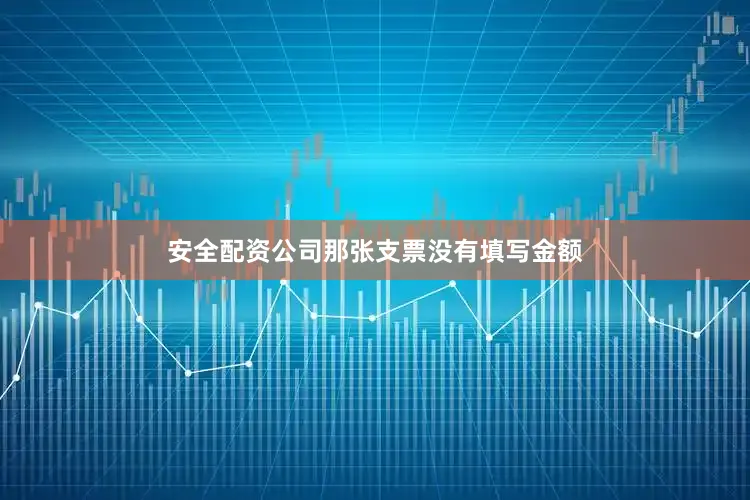 安全配资公司那张支票没有填写金额