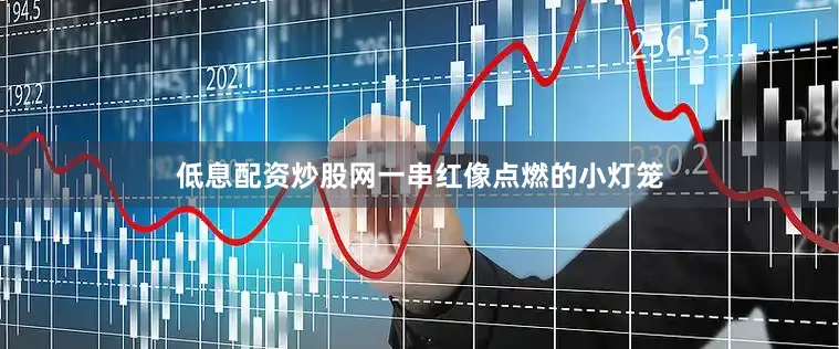 低息配资炒股网一串红像点燃的小灯笼