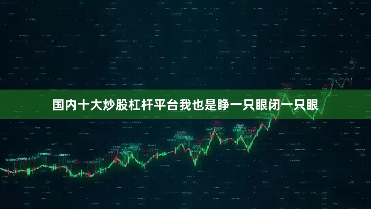国内十大炒股杠杆平台我也是睁一只眼闭一只眼